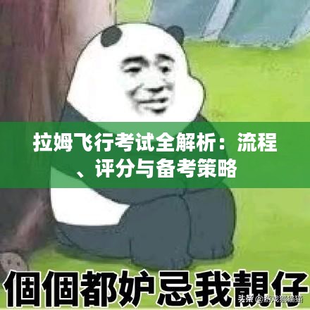 拉姆飞行考试全解析:流程、评分与备考策略 拉姆飞行考试全解析:流程、评分与备考策略