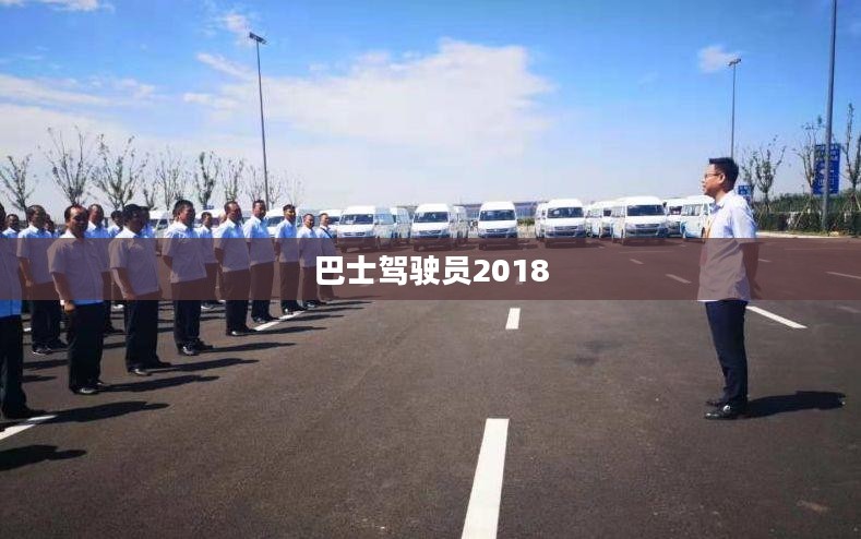 2010年纽约巴士驾驶员工作状况与挑战分析 2010年纽约巴士驾驶员工作状况与挑战分析