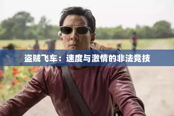 盗贼飞车:速度与激情的非法竞技 盗贼飞车:速度与激情的非法竞技