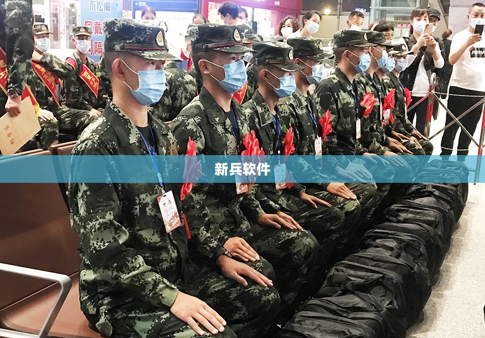 新兵下载全攻略：高效下载技巧与注意事项解析