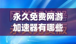 永久免费网游加速服务,提升游戏体验新篇章 永久免费网游加速服务,提升游戏体验新篇章
