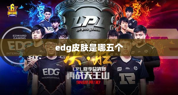 EDG皮肤深度解析：设计理念与用户评价全方位解读