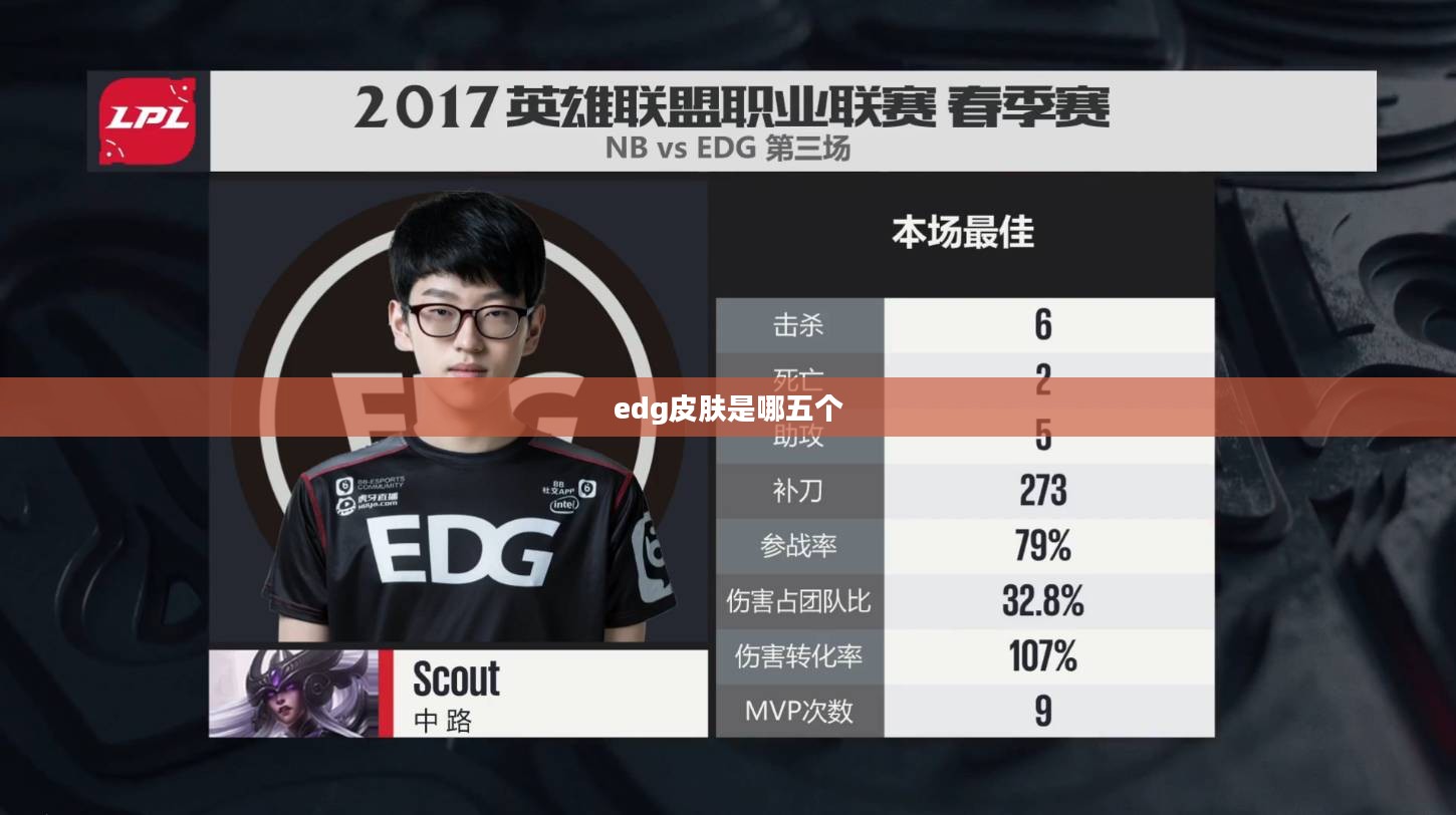 EDG皮肤深度解析：设计理念与用户评价全方位解读