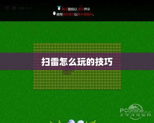 扫雷游戏玩法与技巧解析 扫雷游戏玩法与技巧解析