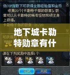 卡勒特勋章的实用价值与功能解析