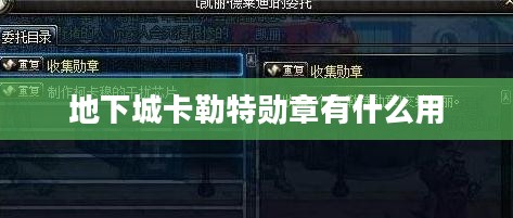 卡勒特勋章的实用价值与功能解析 卡勒特勋章的实用价值与功能解析