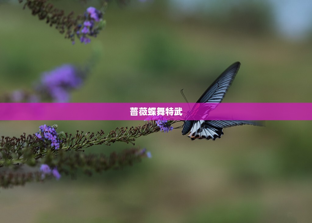 蔷薇蝶舞美学意义及其在园艺艺术中的应用解析 蔷薇蝶舞美学意义及其在园艺艺术中的应用解析