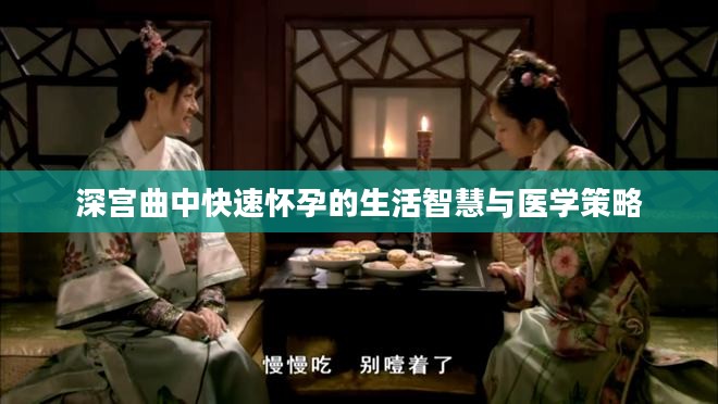 深宫曲中快速怀孕的生活智慧与医学策略 深宫曲中快速怀孕的生活智慧与医学策略