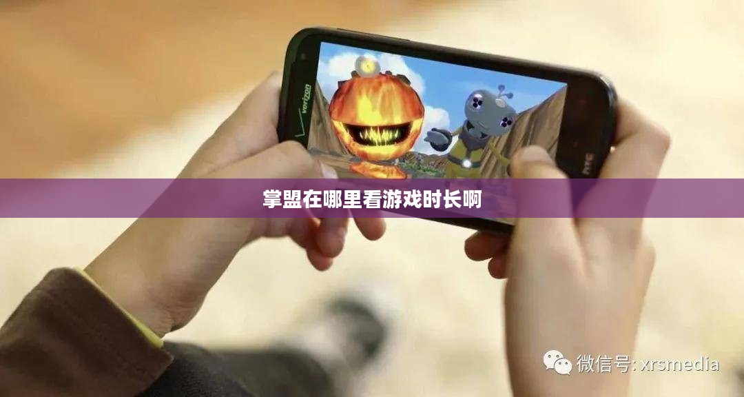掌盟APP游戏时长查看指南