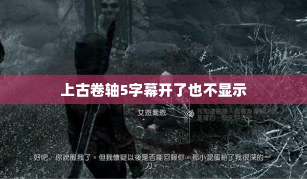 上古卷轴5 字幕设计与功能解析 上古卷轴5 字幕设计与功能解析