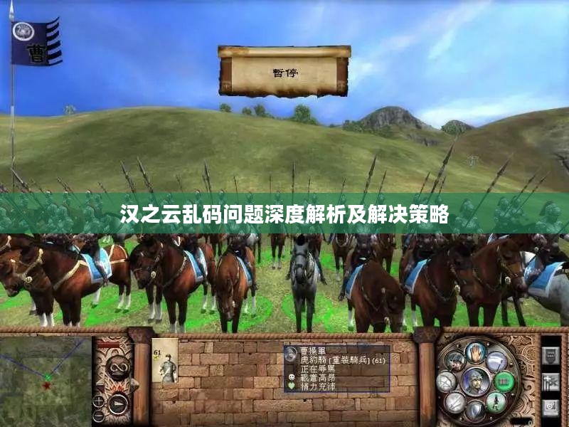 汉之云乱码问题深度解析及解决策略