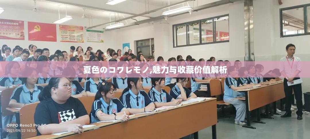 夏色のコワレモノ,魅力与收藏价值解析 夏色のコワレモノ,魅力与收藏价值解析
