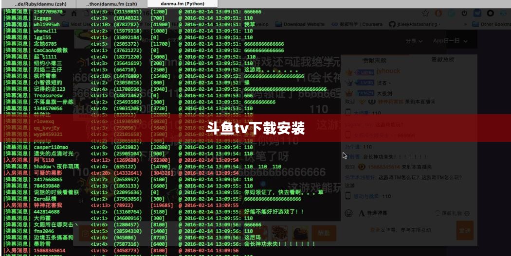 斗鱼TV下载与安装完整指南,轻松观看直播盛宴