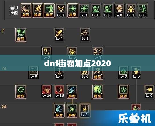 DNF街霸加点详细解析与优化策略