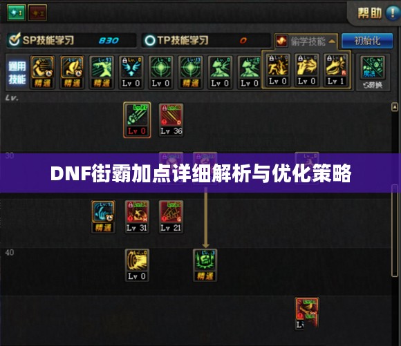 DNF街霸加点详细解析与优化策略 DNF街霸加点详细解析与优化策略