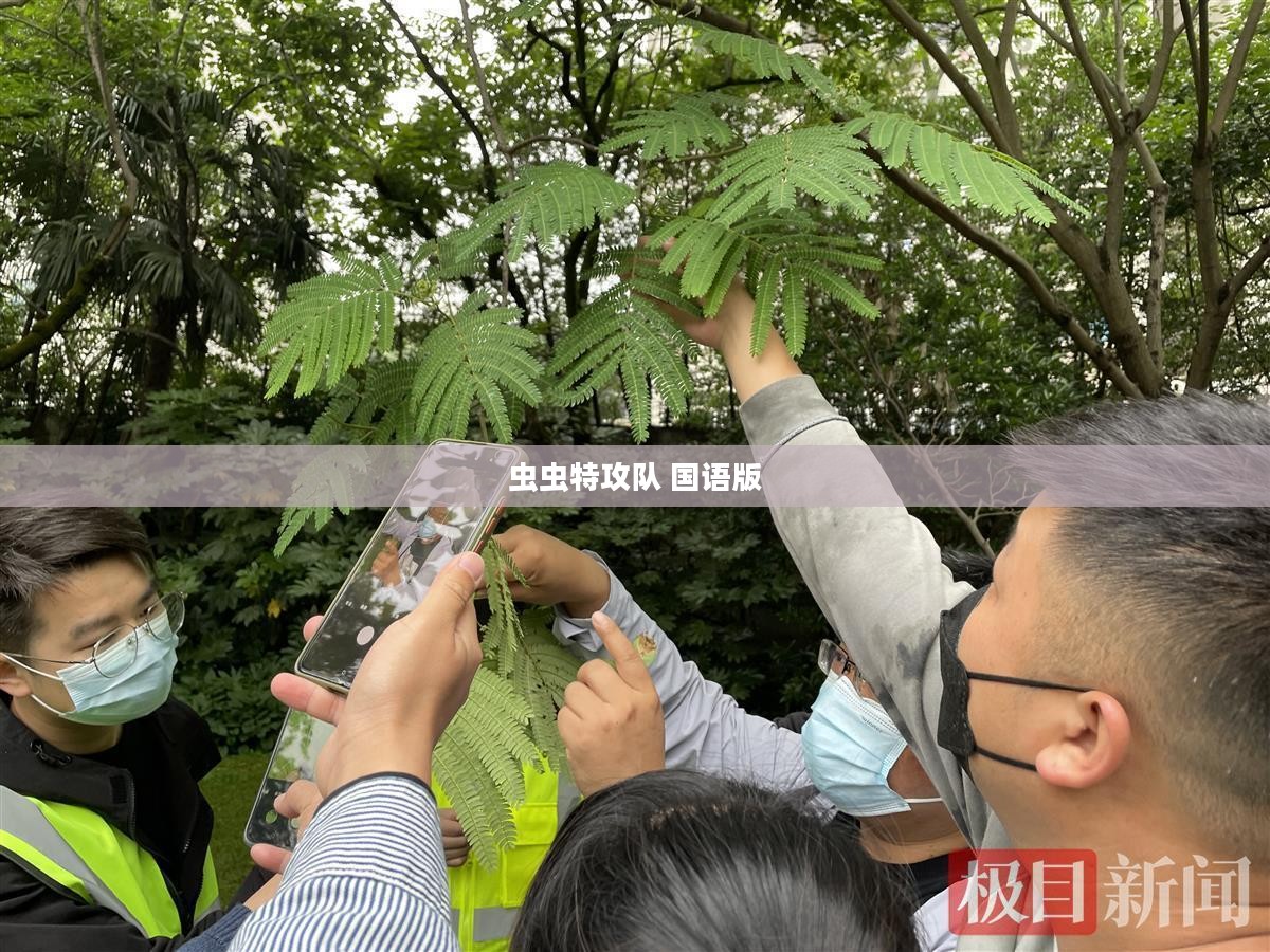 虫虫特攻队，农作物病虫害防治新策略解析