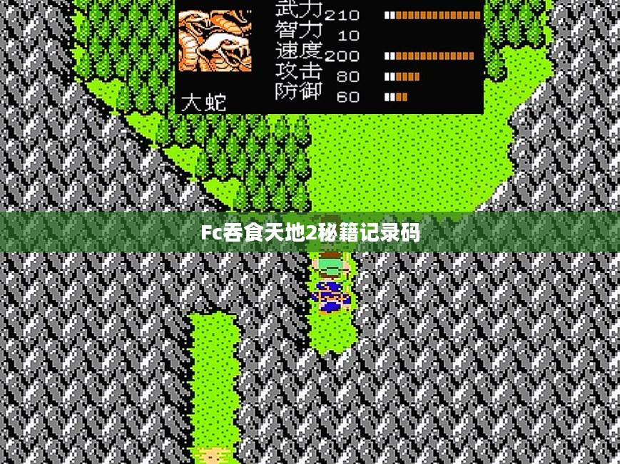 FC吞食天地2秘籍攻略,助您畅游经典游戏世界 FC吞食天地2秘籍攻略,助您畅游经典游戏世界