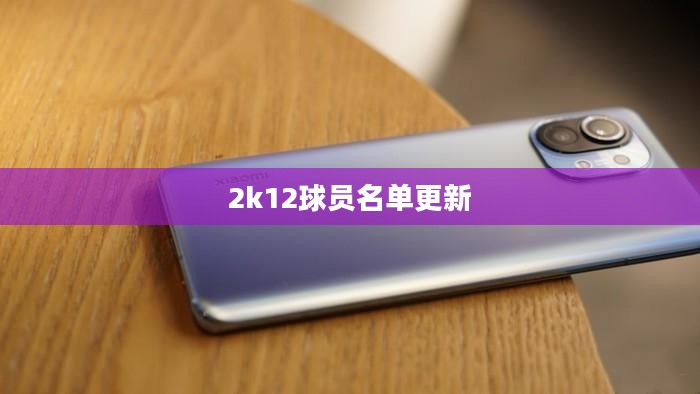 2K12篮球游戏球员名单全解析:传奇与现代球星齐聚 2K12篮球游戏球员名单全解析:传奇与现代球星齐聚