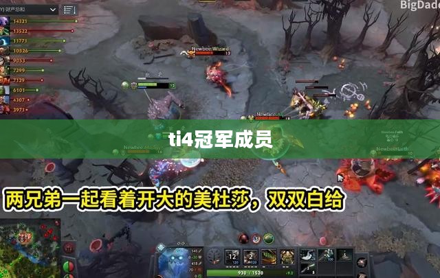 2014年《英雄联盟》ti4冠军队伍的辉煌之路解析