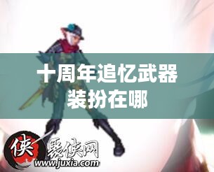 十周年庆典，武器装扮的温馨回顾与深度解析