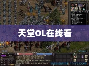 天堂ol游戏特色与玩家体验深度解析 天堂ol游戏特色与玩家体验深度解析