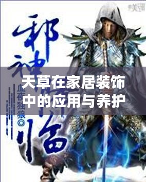 天草在家居装饰中的应用与养护指南