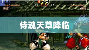 天草在家居装饰中的应用与养护指南 天草在家居装饰中的应用与养护指南