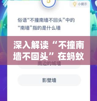 深入解读“不撞南墙不回头”在蚂蚁庄园中的寓意与应用
