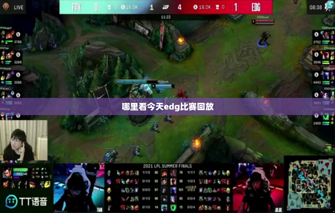EDG比赛观看指南：多种平台选择