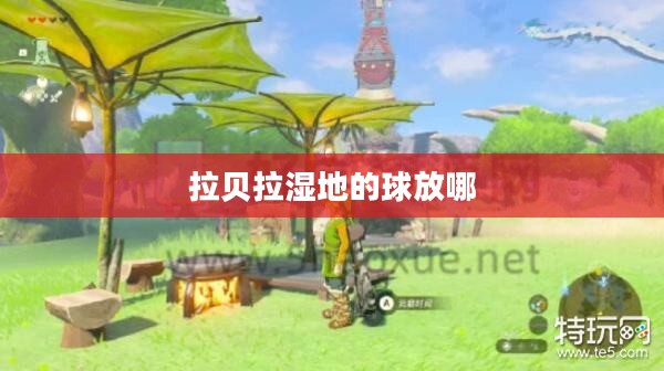 拉贝拉品牌发展历程及市场策略解析