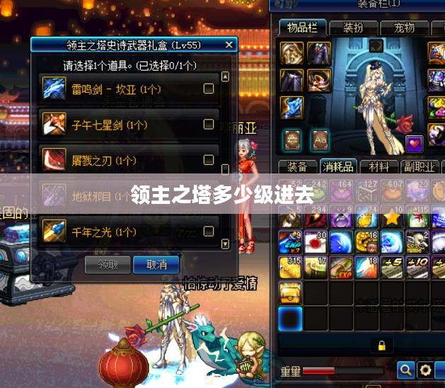 领主之塔等级要求解析，轻松掌握入门关卡
