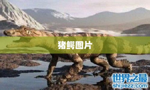 猪鳄的生活习性及其在生态系统中的角色 猪鳄的生活习性及其在生态系统中的角色