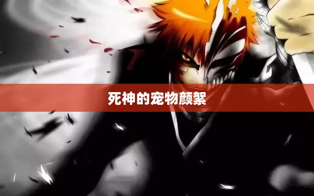 死神宠物：神秘与象征的深度解读