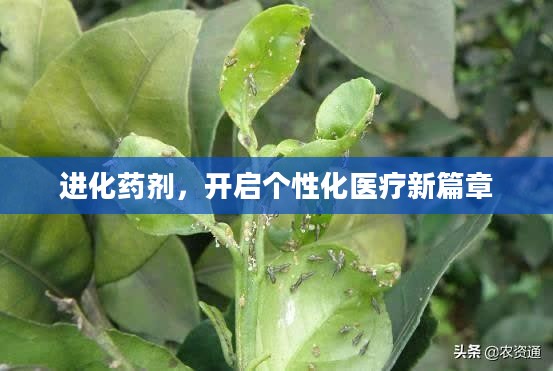 进化药剂,开启个性化医疗新篇章 进化药剂,开启个性化医疗新篇章
