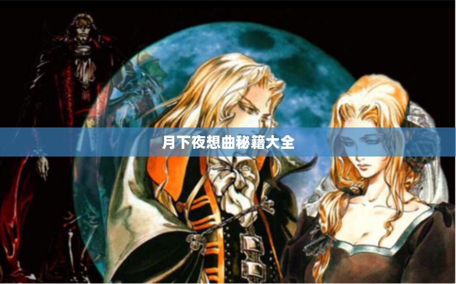深入剖析月下夜想曲：古典音乐爱好者必备指南
