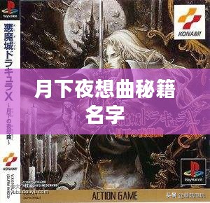 深入剖析月下夜想曲:古典音乐爱好者必备指南 深入剖析月下夜想曲:古典音乐爱好者必备指南