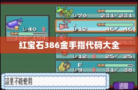 红宝石386金手指，提升游戏体验的利器