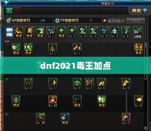 DNF毒王PK加点攻略:打造致命毒伤王者 DNF毒王PK加点攻略:打造致命毒伤王者