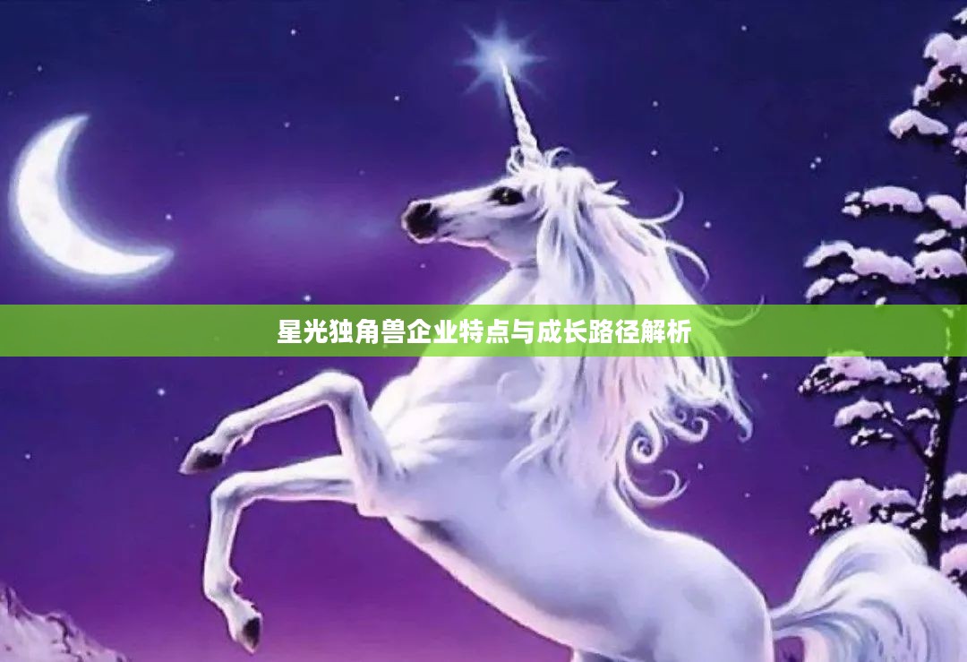 星光独角兽企业特点与成长路径解析 星光独角兽企业特点与成长路径解析