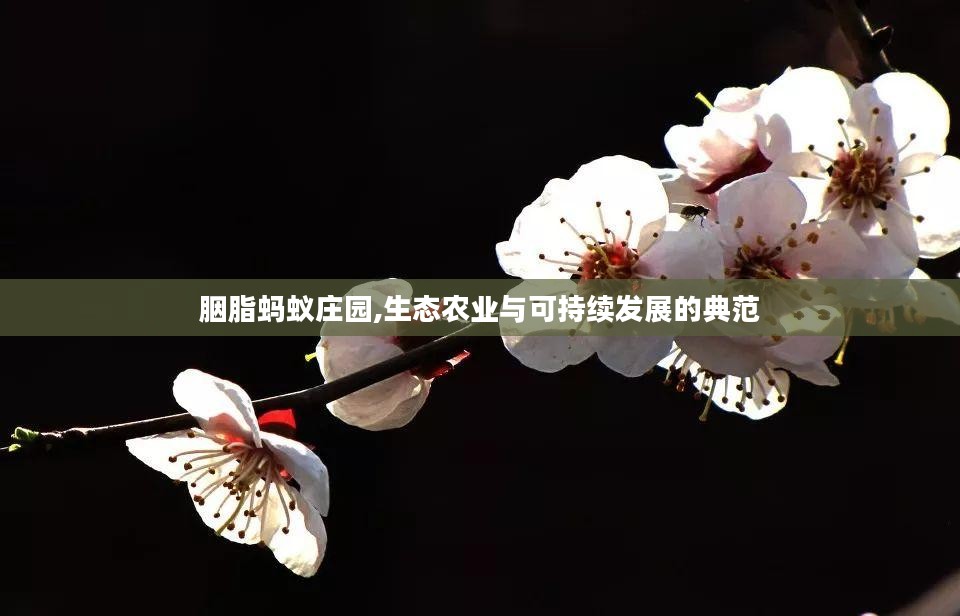 胭脂蚂蚁庄园,生态农业与可持续发展的典范