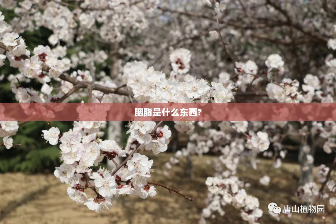 胭脂蚂蚁庄园,生态农业与可持续发展的典范 胭脂蚂蚁庄园,生态农业与可持续发展的典范
