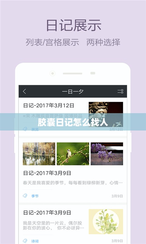 胶囊日记:高效记录生活的创新方式解析 胶囊日记:高效记录生活的创新方式解析