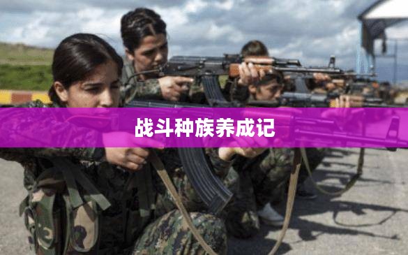 战斗种族：历史演变与文化内涵解析