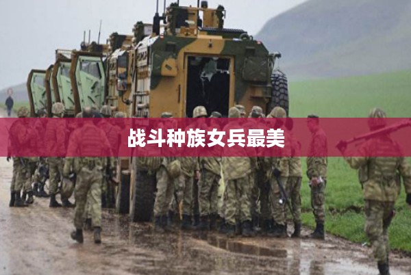 战斗种族:历史演变与文化内涵解析 战斗种族:历史演变与文化内涵解析