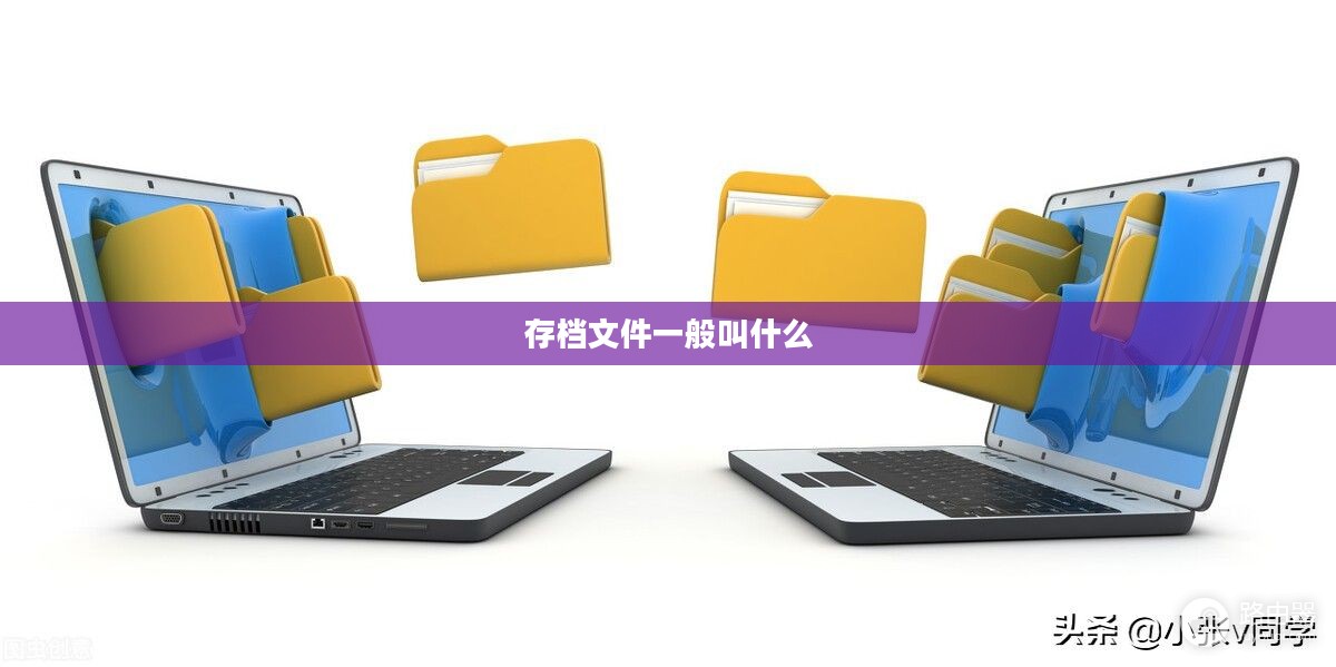 存档文件管理技巧与高效利用策略解析 存档文件管理技巧与高效利用策略解析