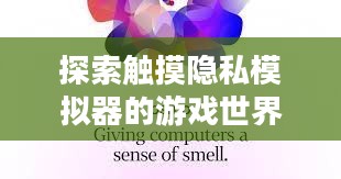 探索触摸隐私模拟器的游戏世界，享受隐私保护的游戏体验