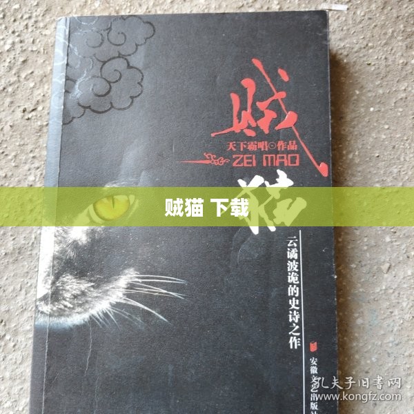 贼猫下载