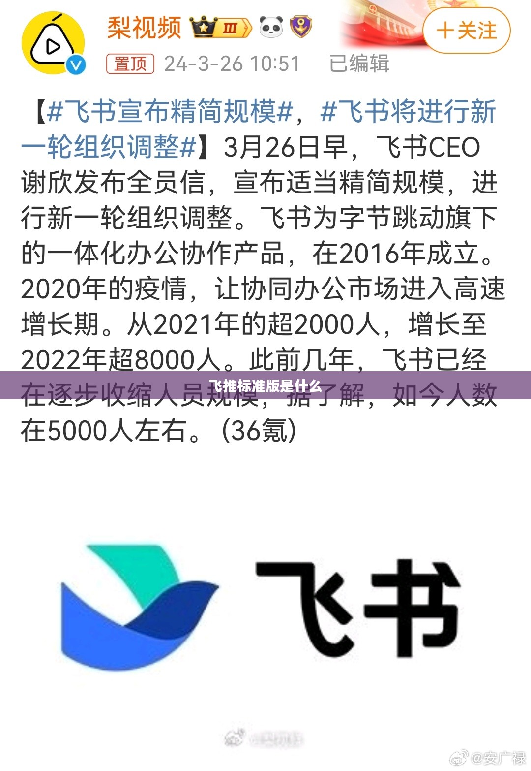 飞推营销策略与技巧深度解析，提升品牌社交媒体影响力