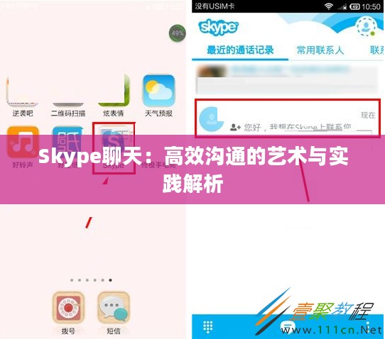 Skype聊天：高效沟通的艺术与实践解析