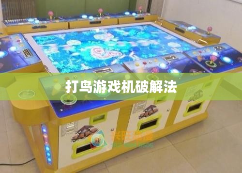 打鸟游戏玩法与技巧深度解析，提升游戏体验的全方位指南